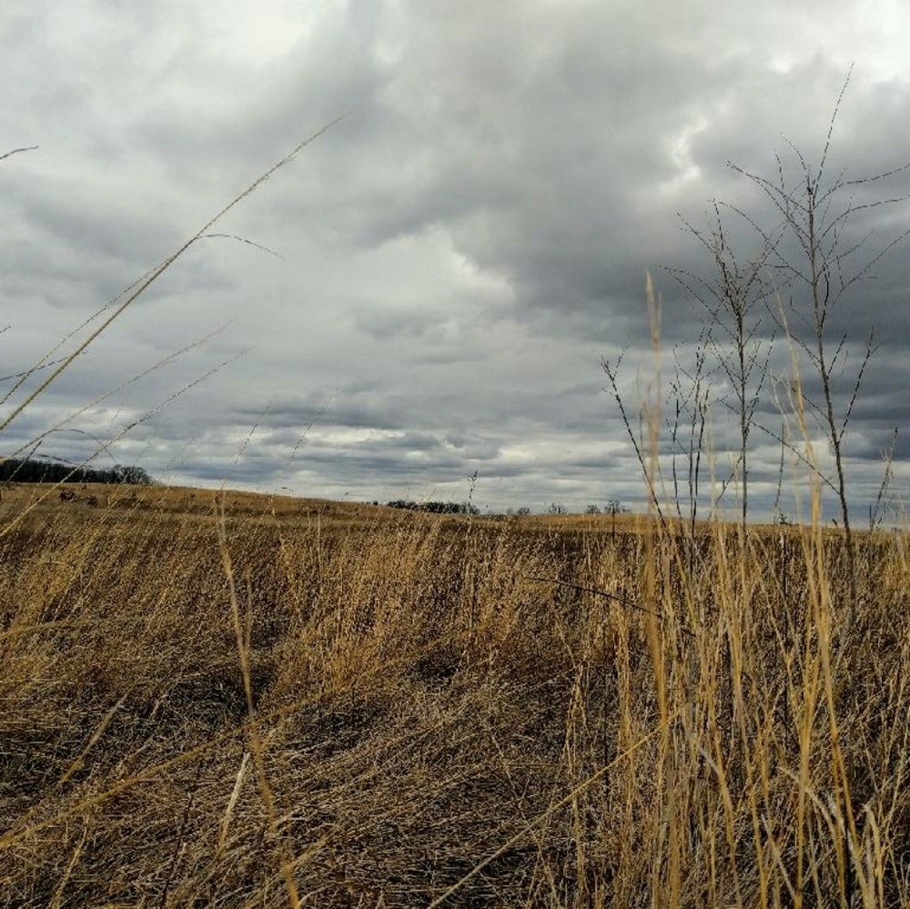 Meet your Posher, Lily